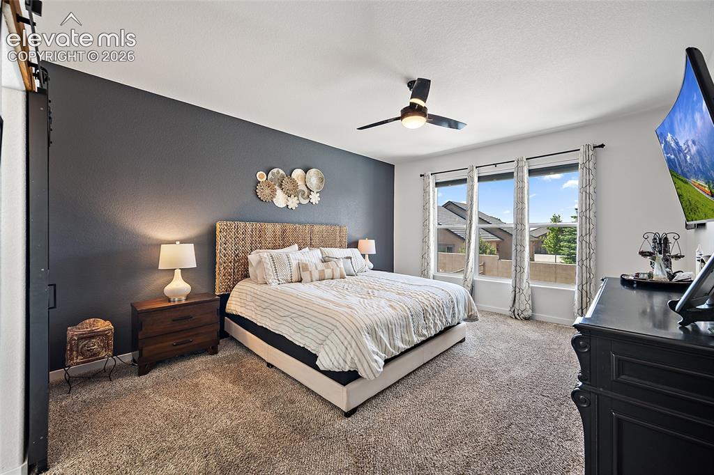Image 18 of 46: Spacious room featuring carpeting, a dark accent wall, and three large wind