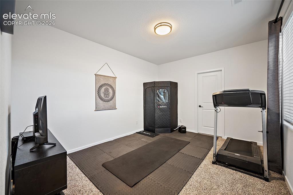Image 28 of 46: Spacious room featuring neutral carpeting, white walls, a flush-mount ceili