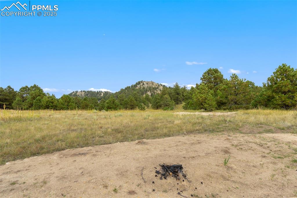 Image 15 of 23: Clearing at back of property w/mature pines in the background