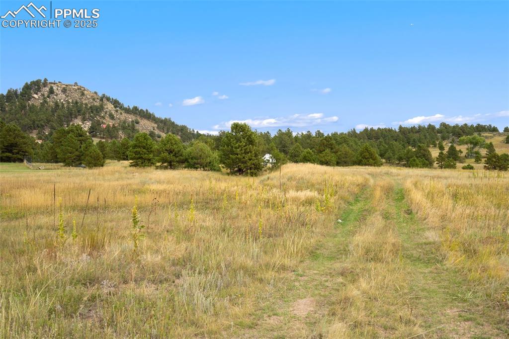 Image 3 of 23: Rock croppings and pine trees provide a nice backdrop for your home