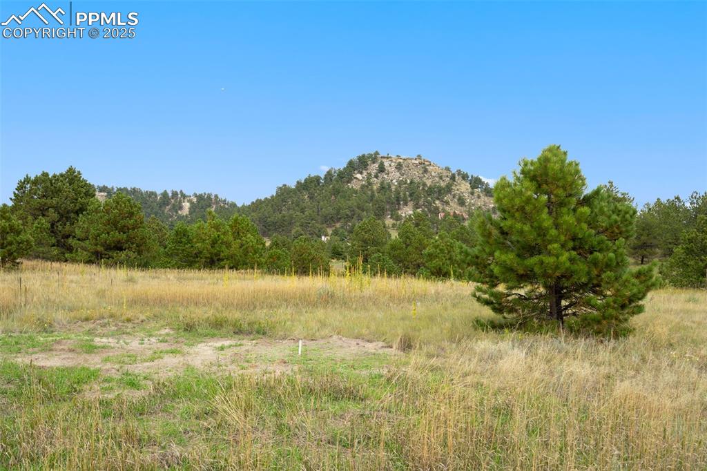 Image 4 of 23: NE view of the rock formations in the background