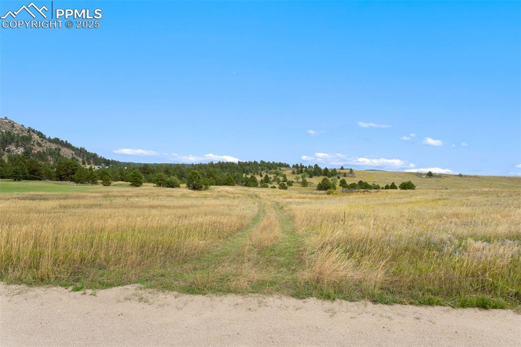 Image 5 of 23: Grass driveway from Atlas Loop