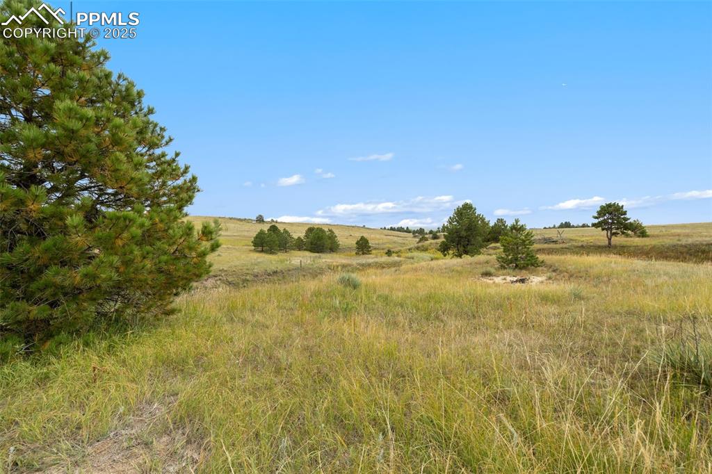 Image 8 of 23: View of Eastern boundary