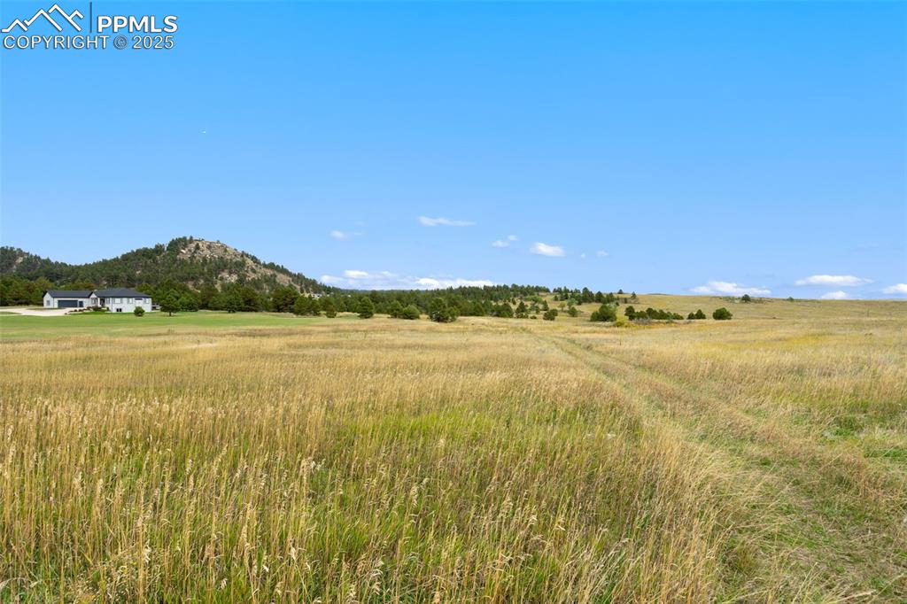 Image 9 of 23: Eastern view from the road