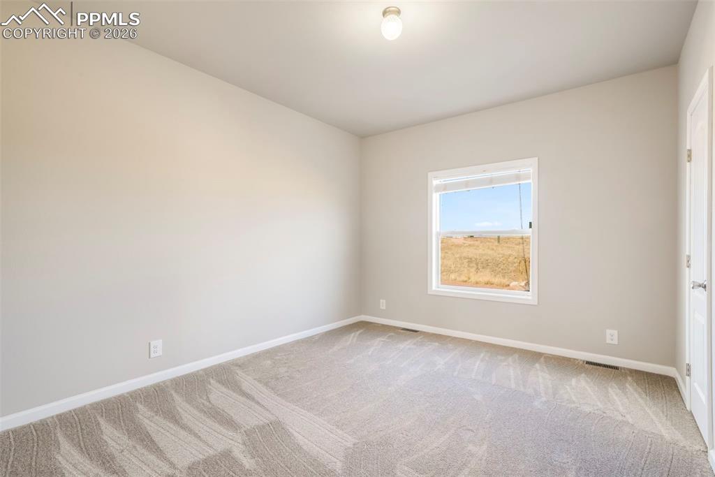 Image 37 of 48: No Description Available