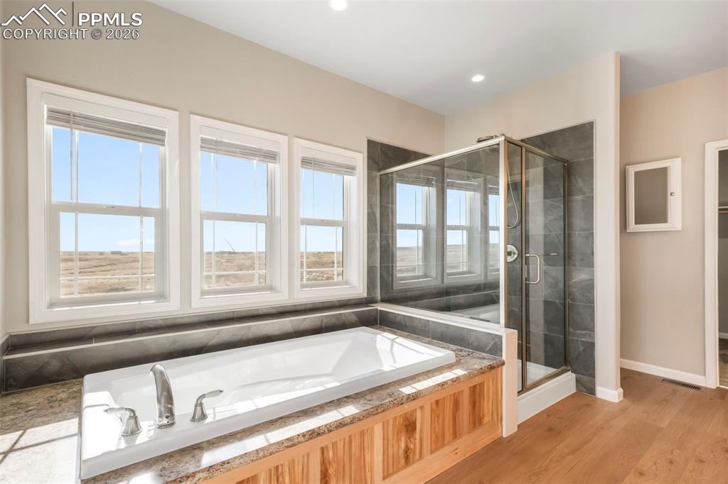 Image 41 of 48: No Description Available