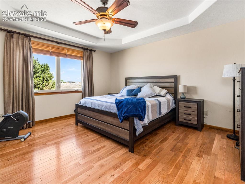 Image 19 of 44: Tray ceiling with a ceiling fan, wood-finish flooring, and a large window