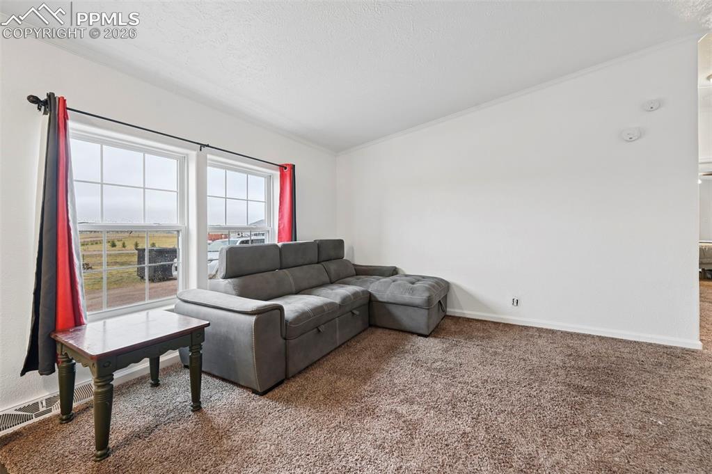 Image 15 of 42: Living Room