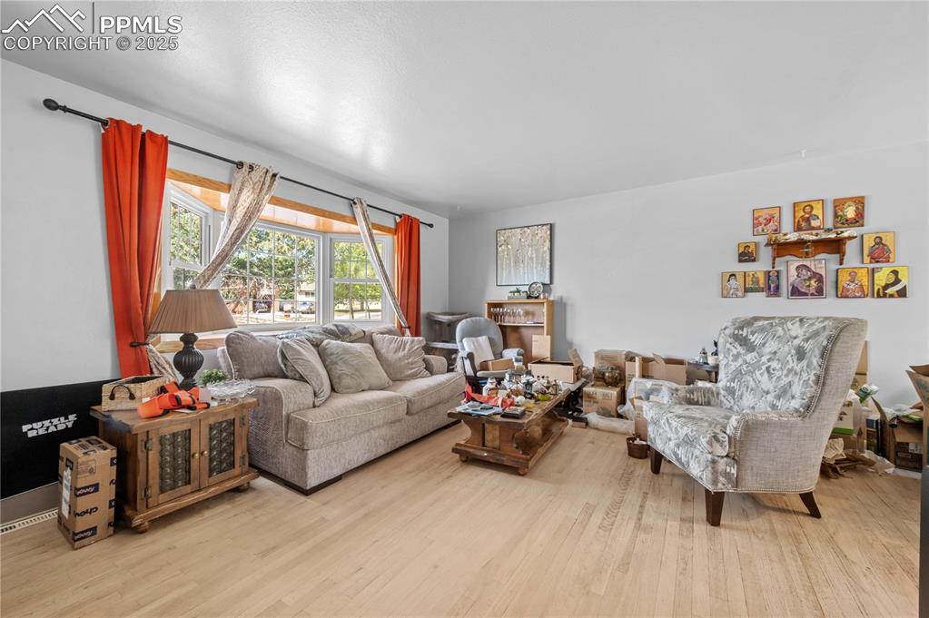 Image 4 of 17: Living Room