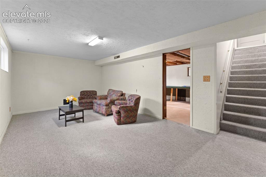 Image 35 of 50: Finished lower level with light-toned carpeting and overhead lighting