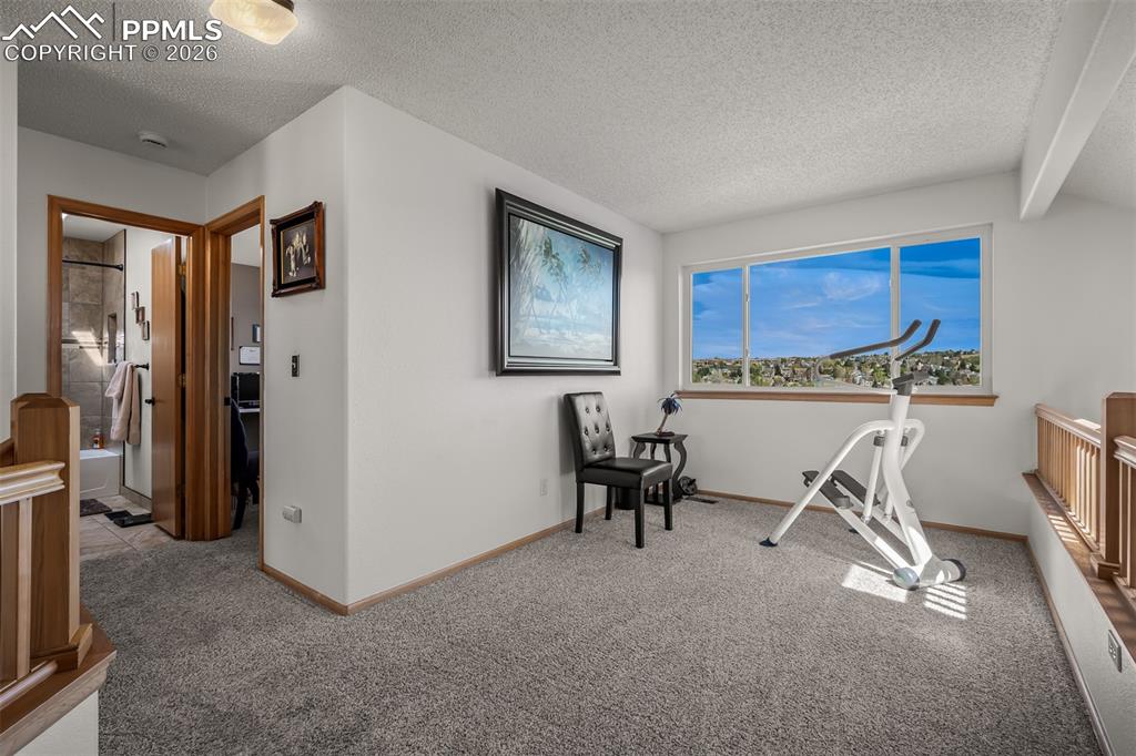 Image 25 of 50: Loft featuring neutral carpeting and a wide, UV filtered window.