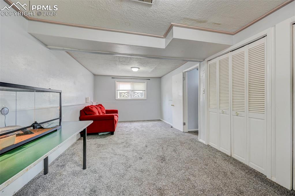 Image 24 of 30: Living area with a textured ceiling and carpet flooring
