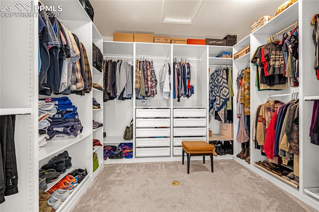 Image 15 of 37: Walk in closet featuring light colored carpet and attic access with modular