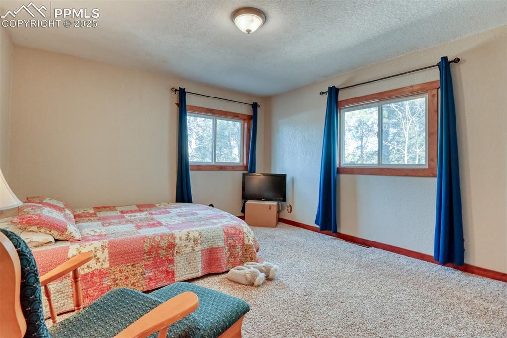 Image 28 of 43: Carpeted bedroom featuring a textured ceiling and a textured wall