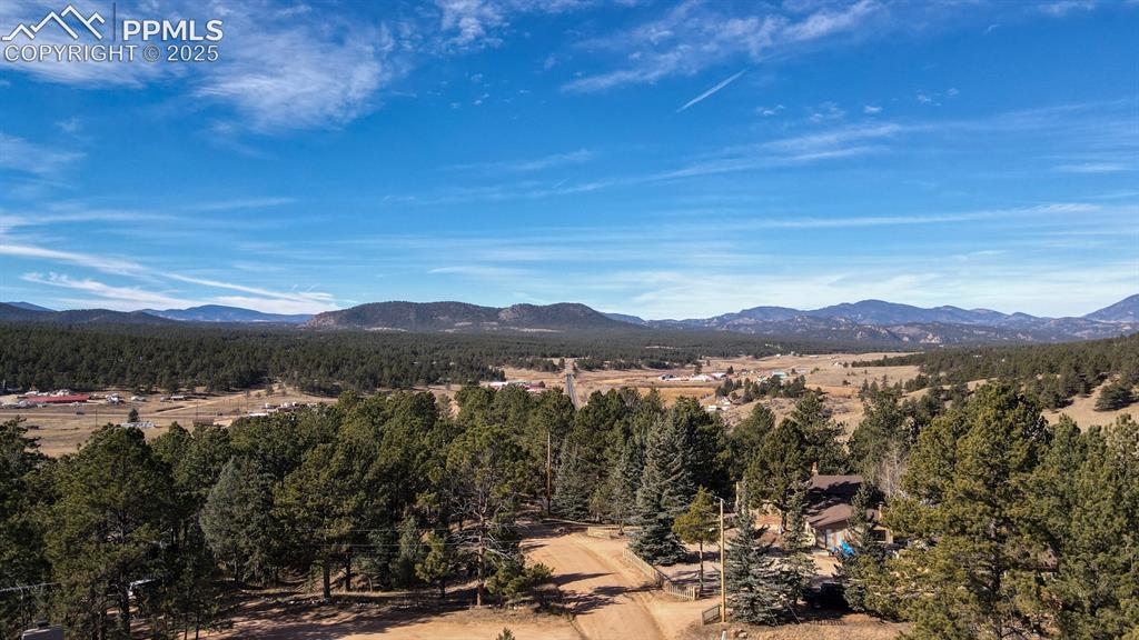 Image 6 of 43: View of mountain background featuring a heavily wooded area