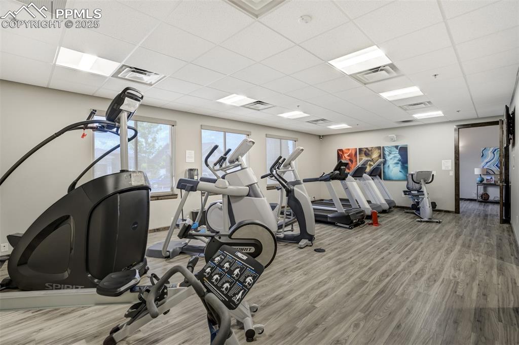 Image 44 of 50: Gym