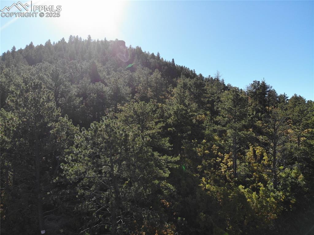 Image 20 of 25: Other