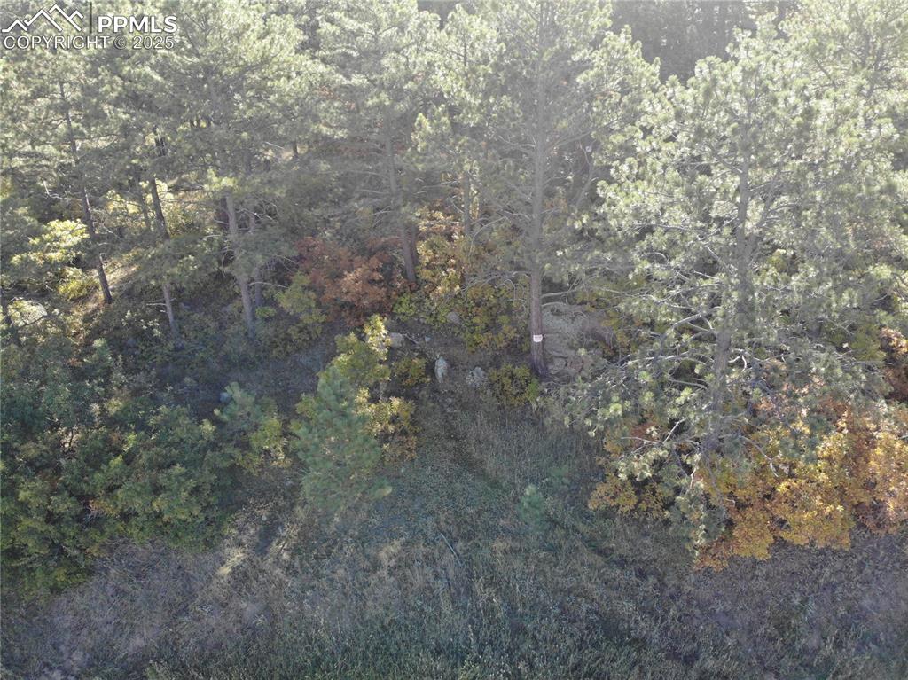 Image 22 of 25: Other