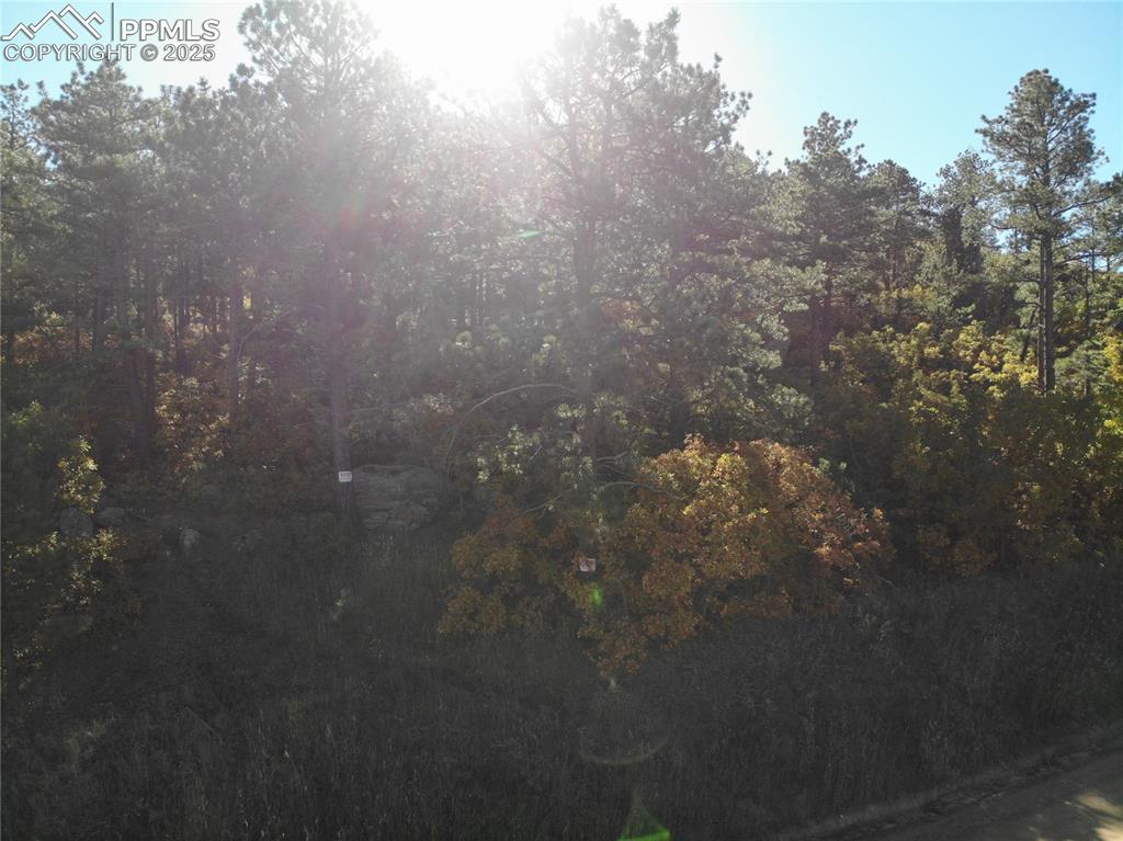 Image 24 of 25: Other