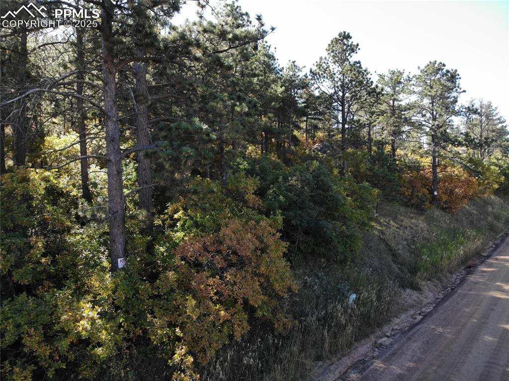 Image 5 of 25: Other