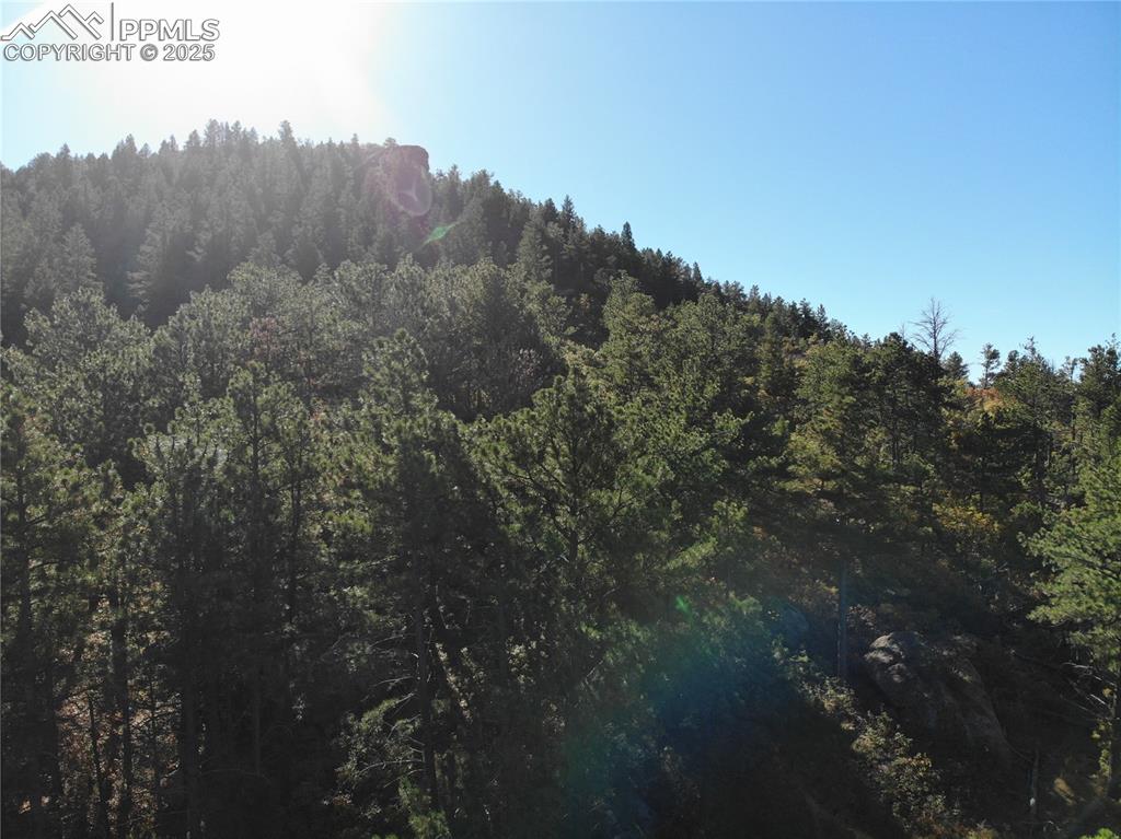 Image 7 of 25: Other