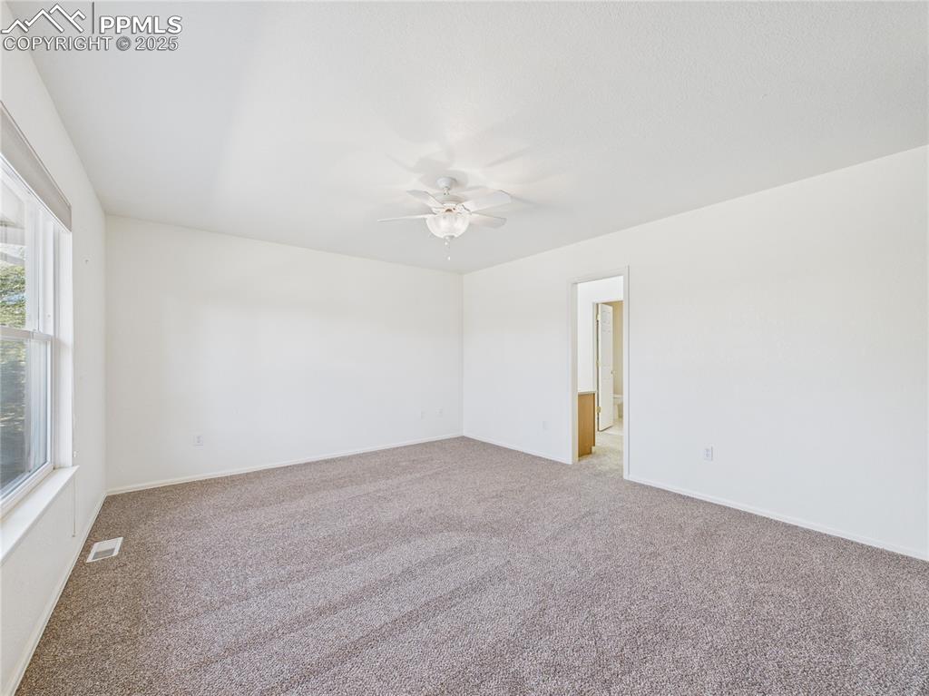 Image 15 of 38: Other