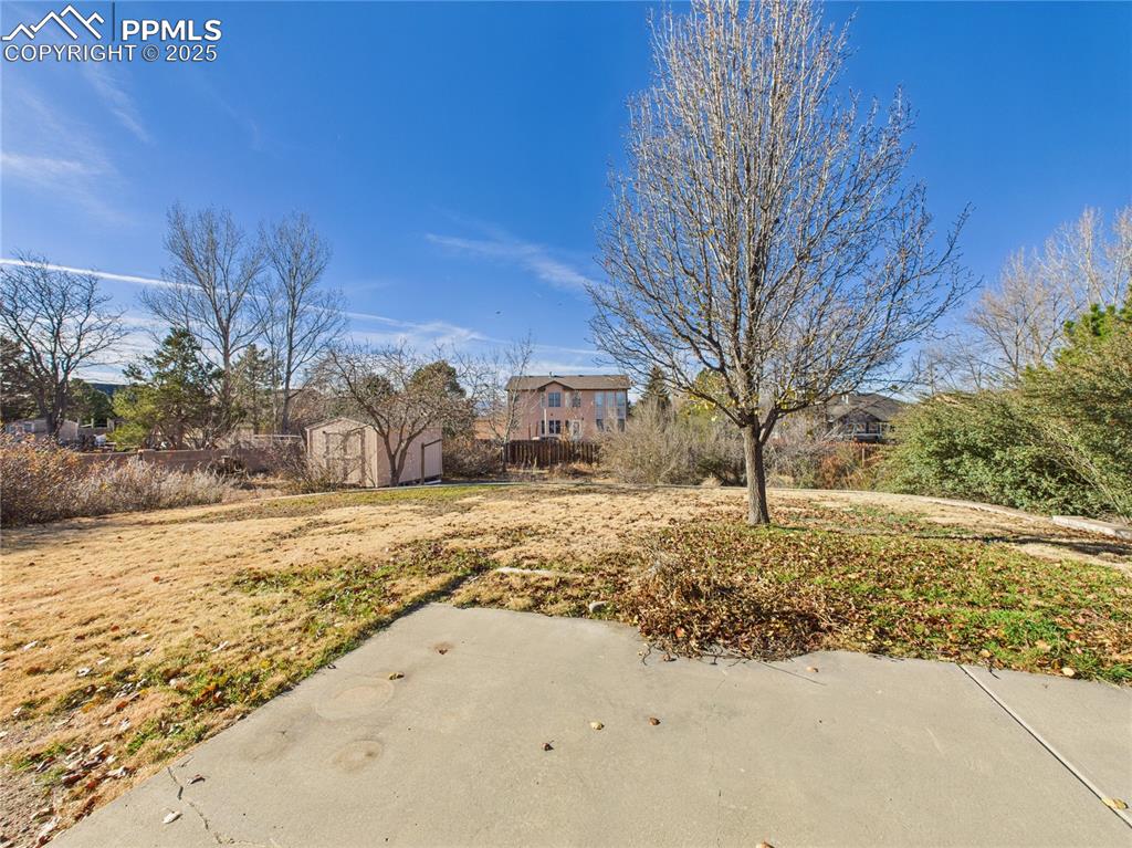 Image 34 of 38: Yard