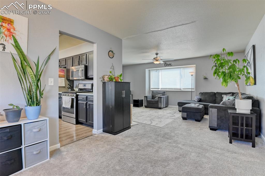 Image 9 of 49: Living Room