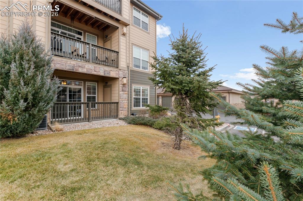 Image 32 of 33: Back of Structure