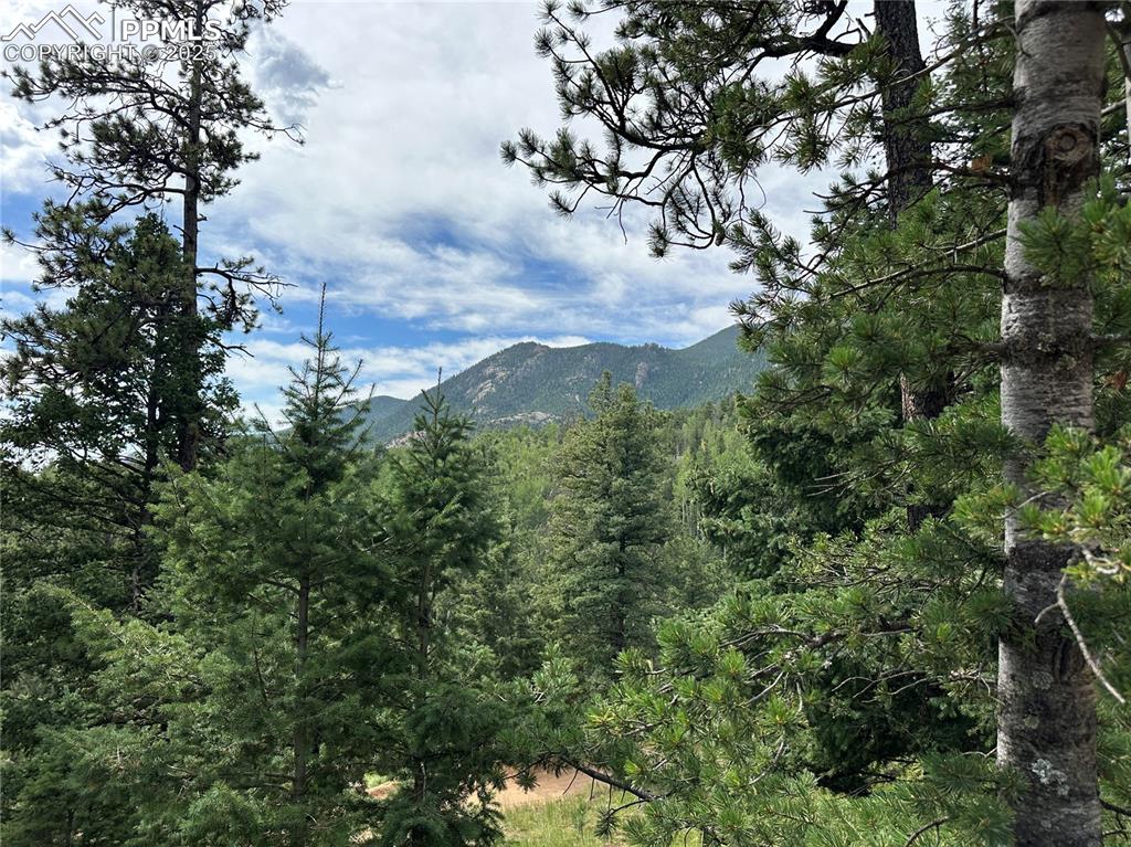 Image 10 of 25: Cheyenne Mountain View from the lot!