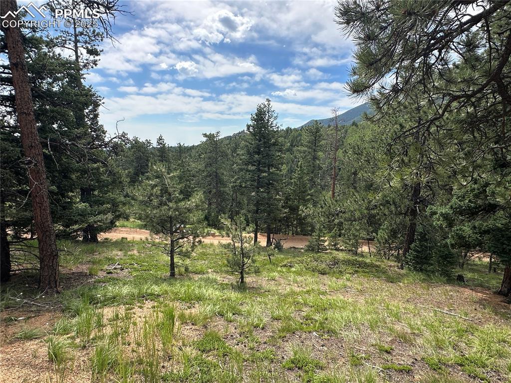 Image 11 of 25: Looking over the build site with Colorado Springs in the distance.