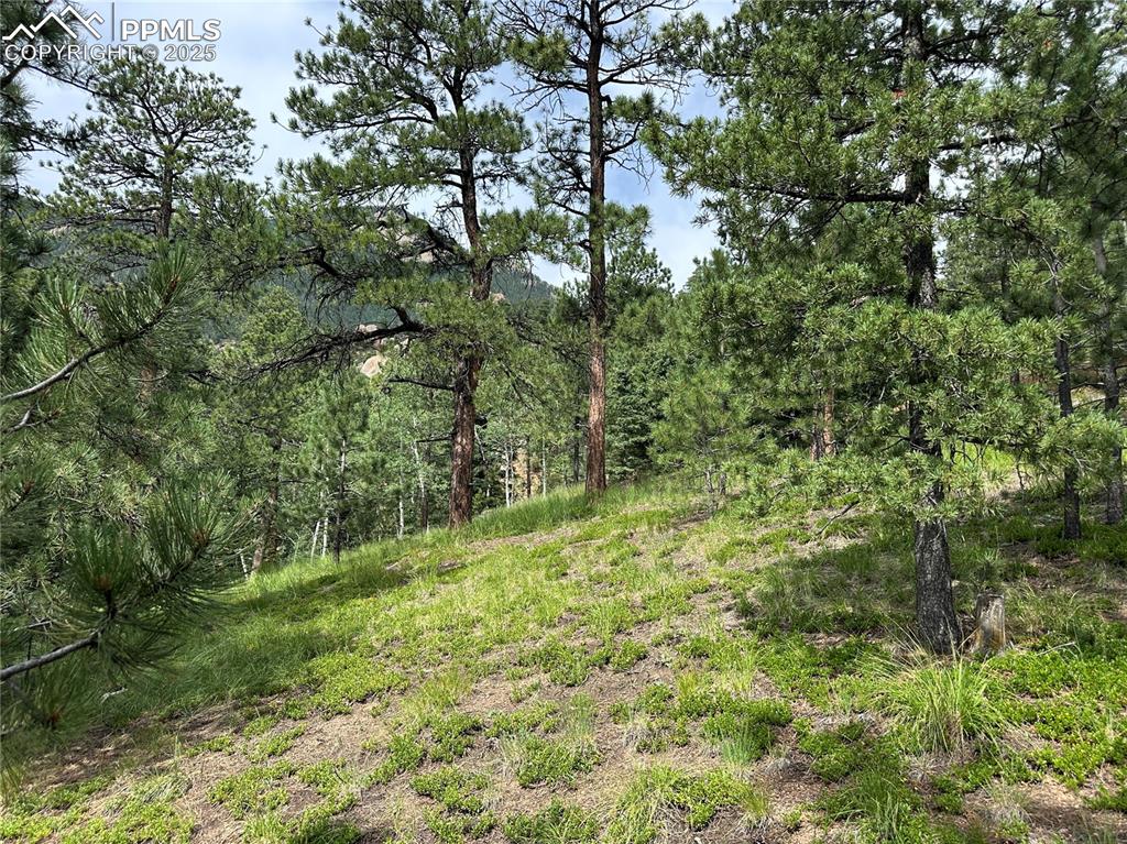 Image 12 of 25: Moderately cleared build site