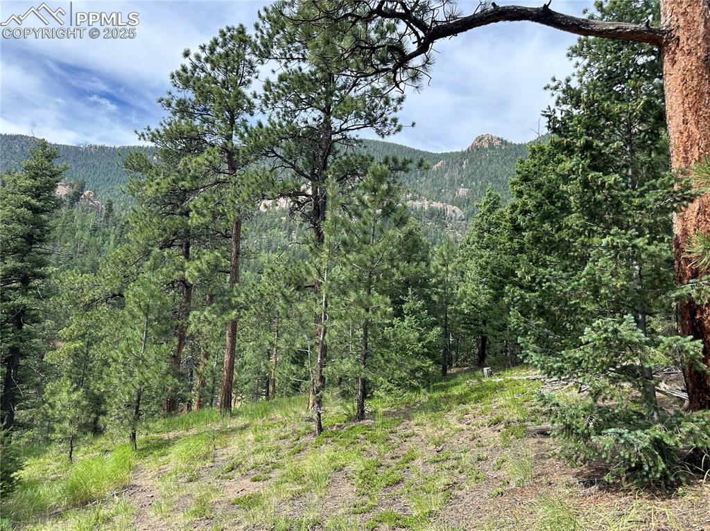 Image 16 of 25: Mountain View from build site
