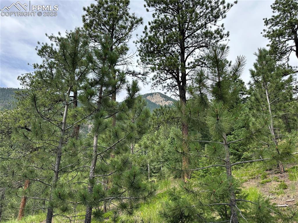 Image 5 of 25: View of Camerons Cone from the lot