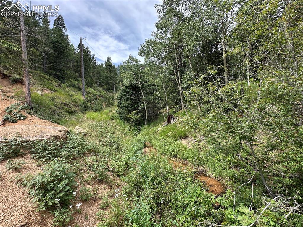Image 9 of 25: Year around stream near the lot with tons of wild raspberries!