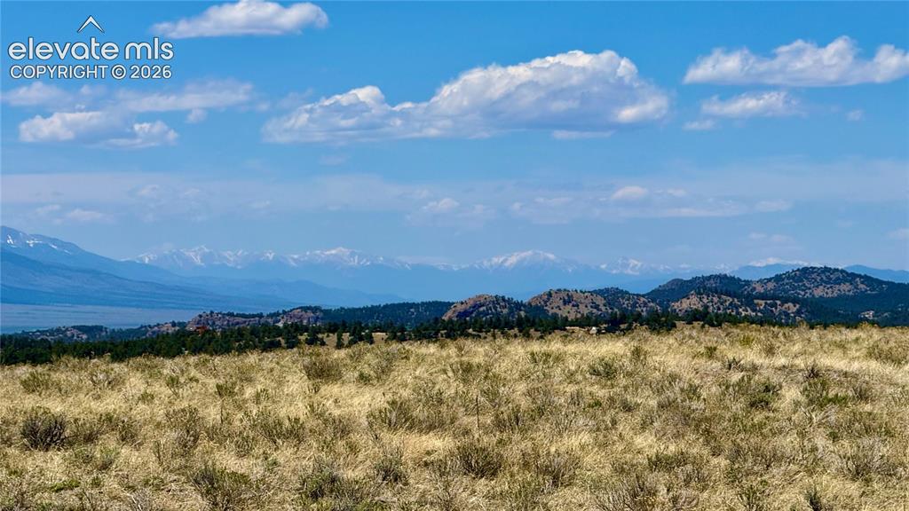 Image 6 of 10: View