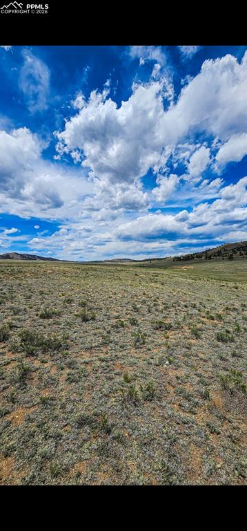 Image 11 of 11: Other