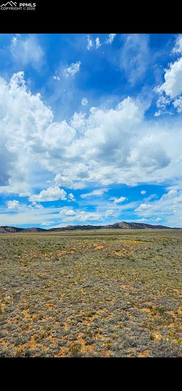 Image 4 of 11: Other