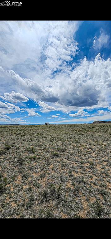 Image 5 of 11: Other