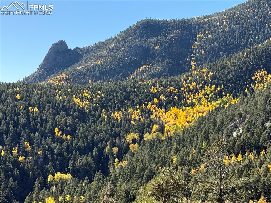 Image 7 of 50: Just sit back and watch the amazing colors of Fall develop from the deck!