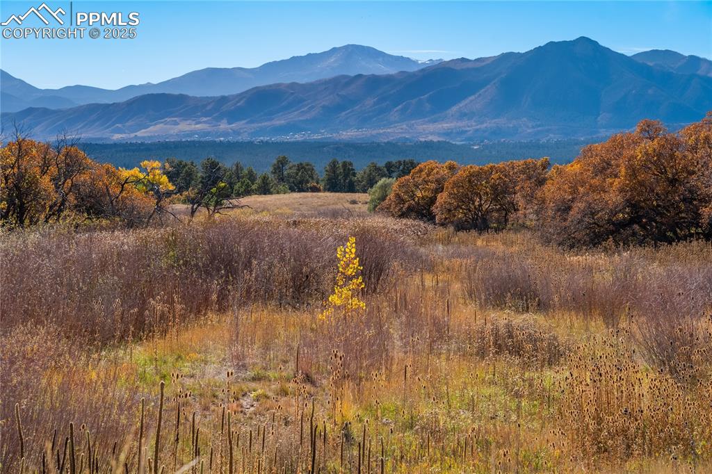 Image 43 of 50: Community