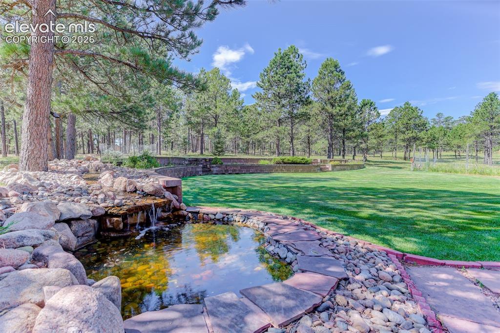 Image 7 of 49: Water feature in back yard.