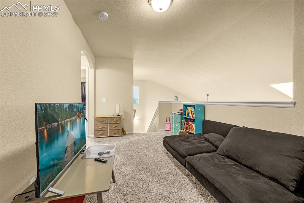 Image 13 of 36: Living room with a textured wall, lofted ceiling, carpet flooring, and a te