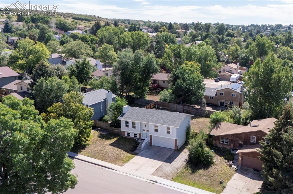 Image 39 of 49: Mature Neighborhood in the Middle of Town