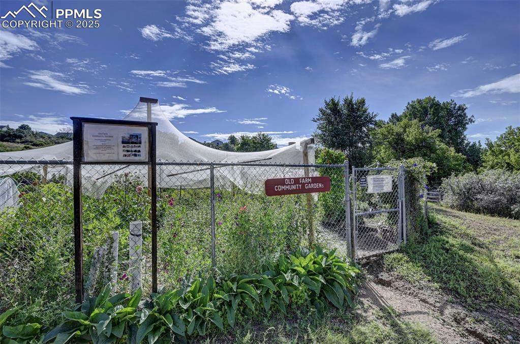Image 41 of 49: Old Farm Community Garden