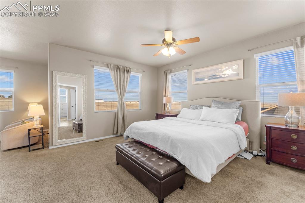 Image 43 of 50: Carpeted bedroom with ceiling fan and multiple windows