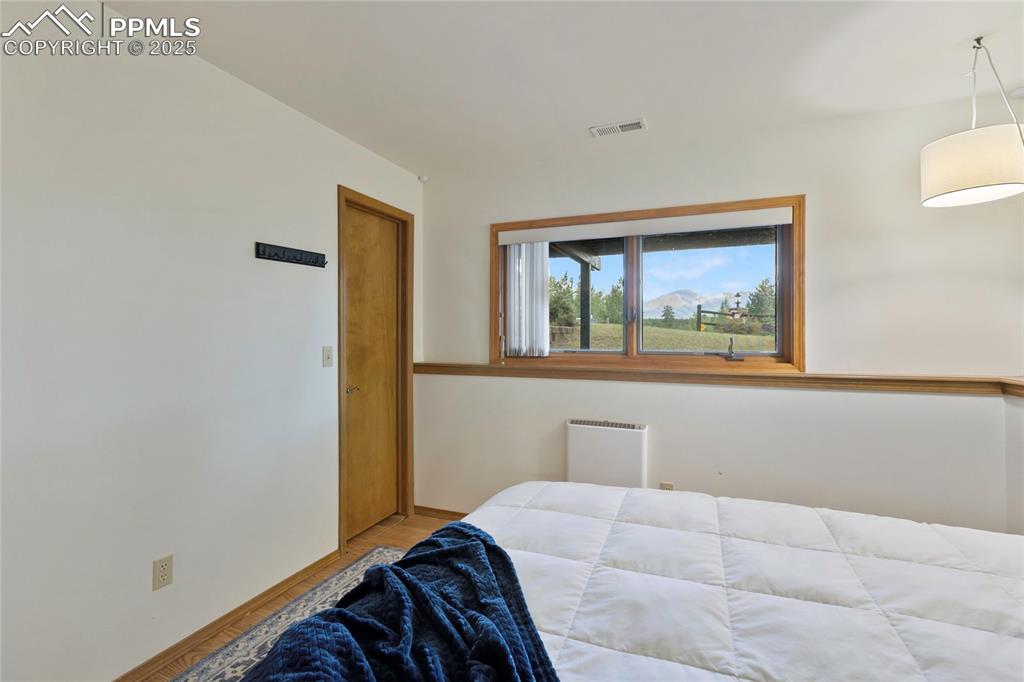 Image 32 of 44: Basement bedroom with Pikes Peak view and walk-in closet
