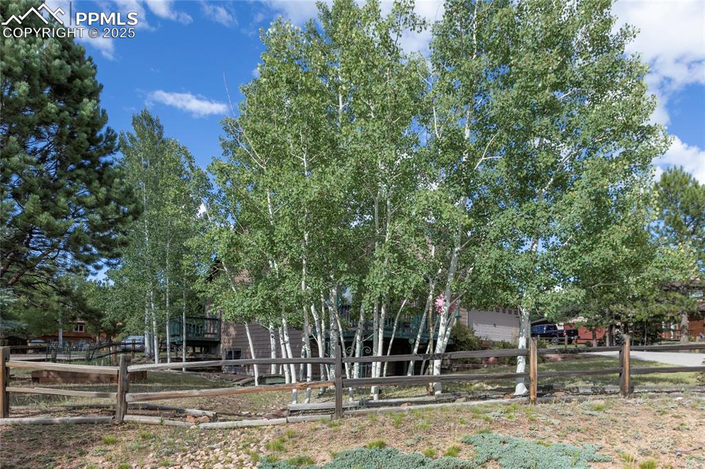 Image 39 of 44: Back yard with natural landscape