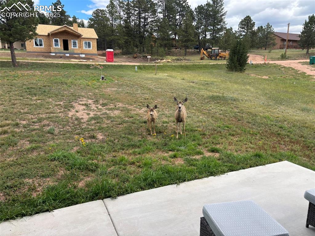 Image 28 of 29: View of green lawn with a patio