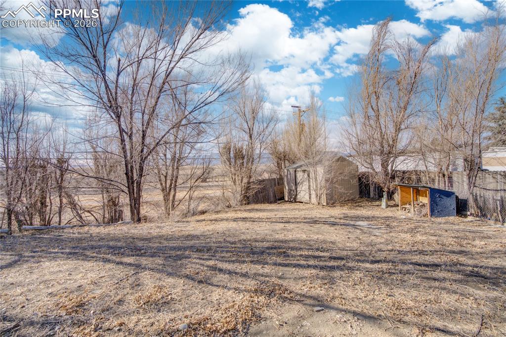 Image 9 of 9: Backyard